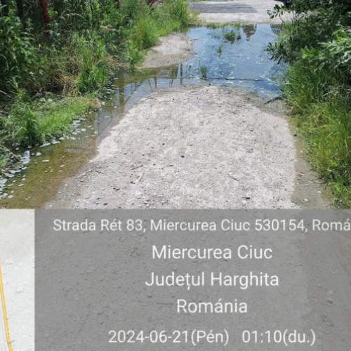 Suspendarea activității unei spălătorii de covoare în Harghita după descoperirea unor nereguli