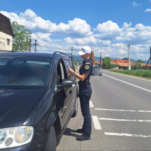Șoferii profesioniști, cei mai afectați de noile măsuri privind testarea pentru consumul de substanțe