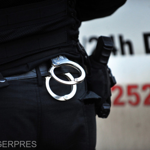 Polițiștii din Harghita cercetează un caz de abandon al unor pui de câine