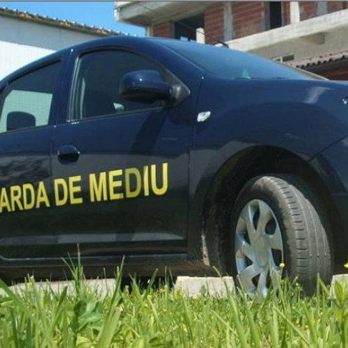 Firmă harghiteană amendată pentru exploatare ilegală de pietriş şi nisip