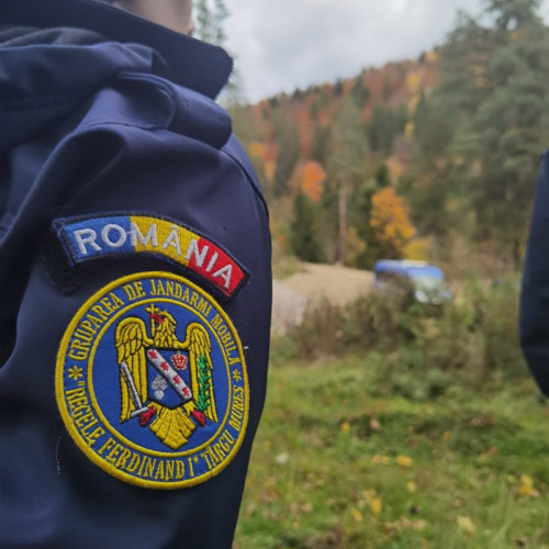 Jandarmii din Harghita au intervenit de 231 de ori pentru alungarea ursilor de la inceputul anului