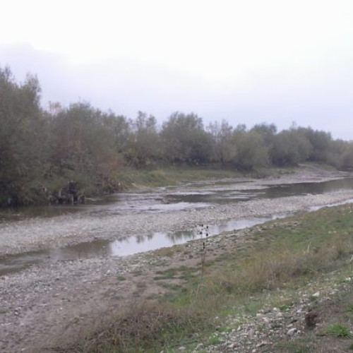 Descoperire alarmantă: deversare ilegală de deșeuri în râul Tărlung
