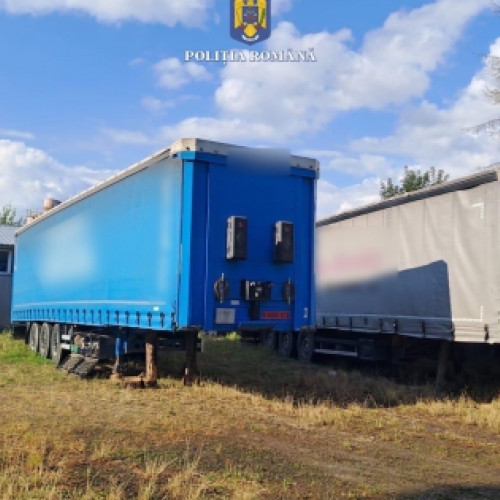 Poliția din Mureș confiscă 99,91 metri cubi de lemn ilegal