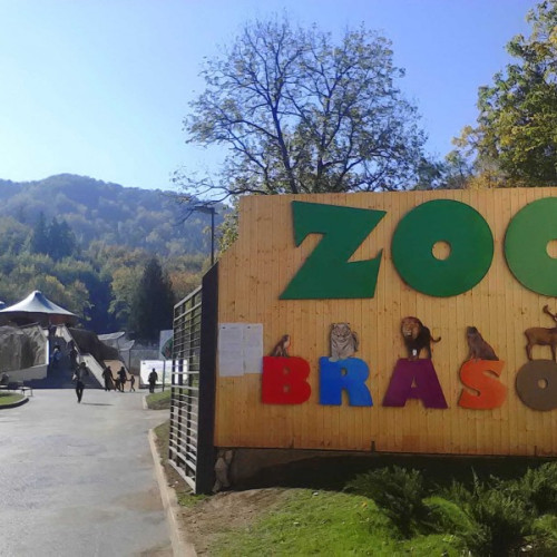 Zoo Brașov organizează o zi dedicată copiilor și adulților