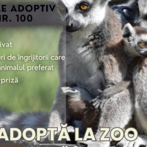 Gradina Zoologica Brașov sărbătorește a 100-a adopție