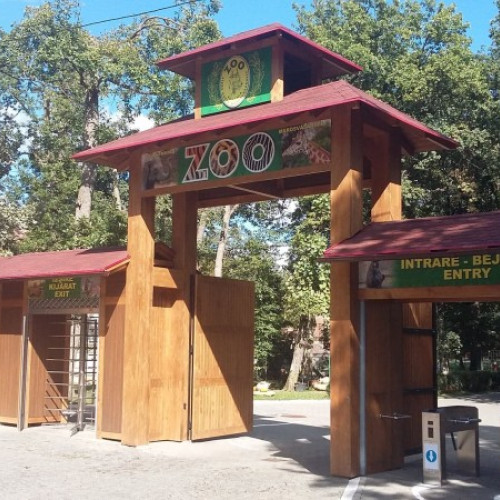 Ursoaica cu trei pui intră în Grădina Zoologică din Târgu Mureș