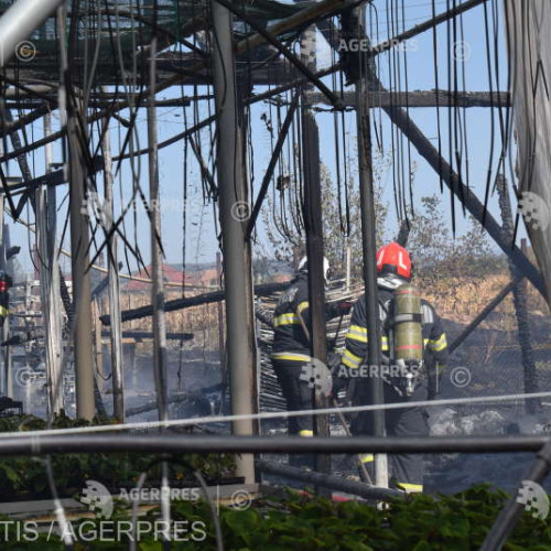 Incendiu la o seră de flori din Sântana de Mureș, stins de pompieri