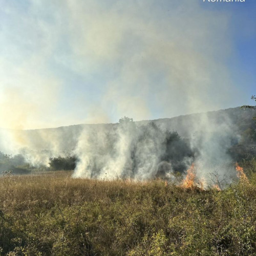 Incendiu de vegetație între localitățile Saschiz și Archita