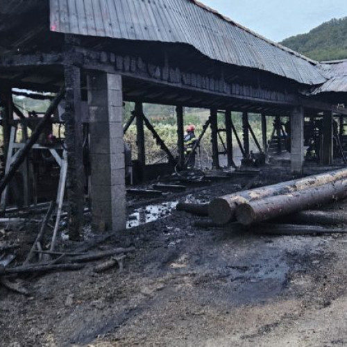 Incendiu la o hală de gater în Gurghiu, pompierii intervin cu elicoptere