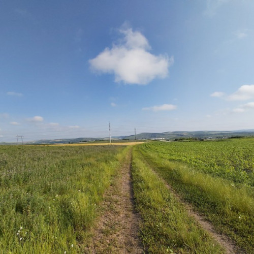 Rentele agricole ajung la rentierii din Brașov