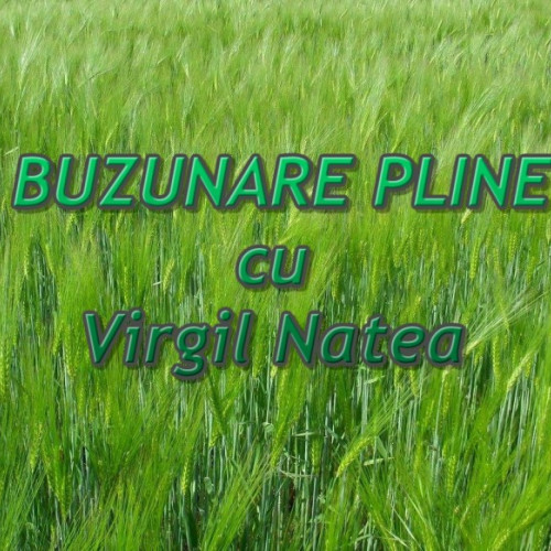 Seceta îngrijorează agricultorii europeni, dar criza de lichiditate le afectează cel mai mult