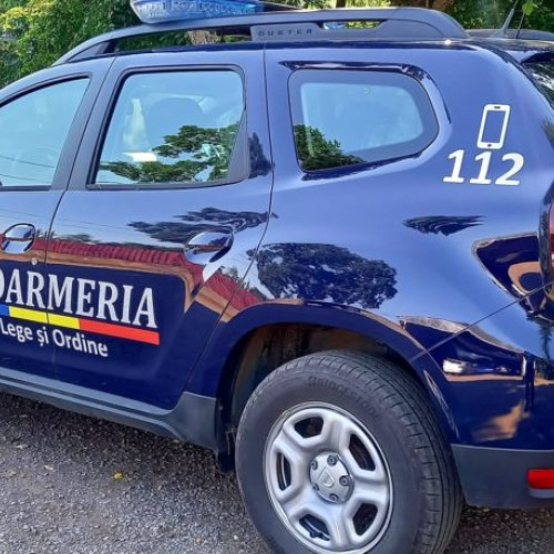 Intervenția jandarmilor pentru alungarea unui urs la Miercurea-Ciuc