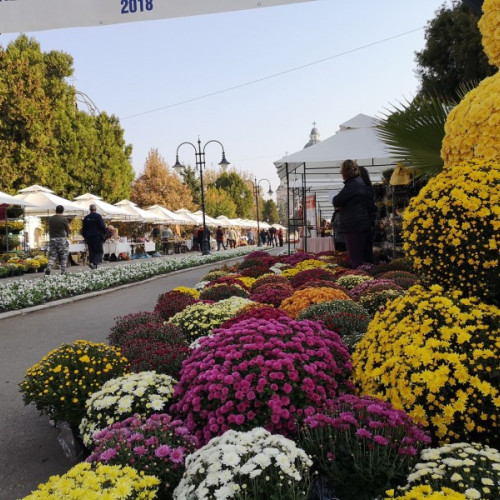 Târgu Mureș invită producătorii locali la Târgul Producătorilor de Flori