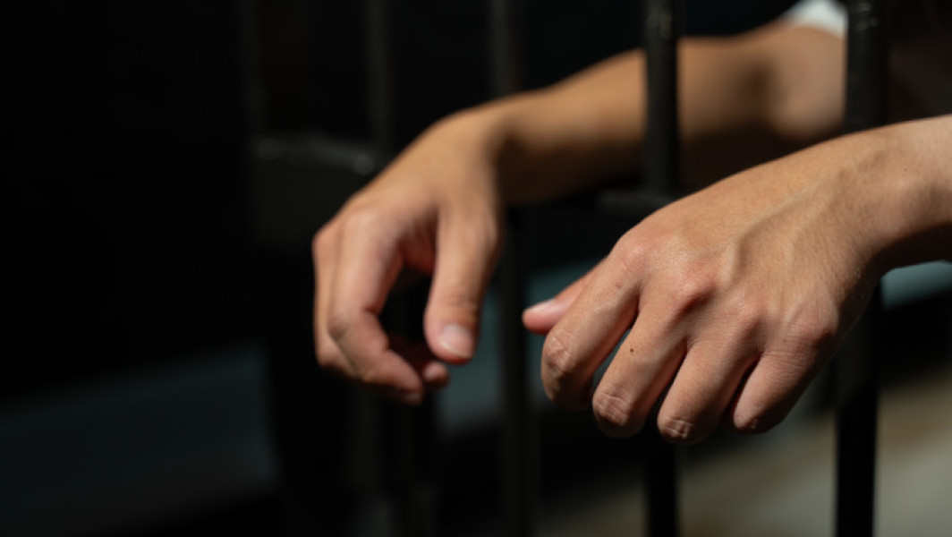 Bărbat din Botoșani condamnat pentru atacul câinelui său asupra unei vecine