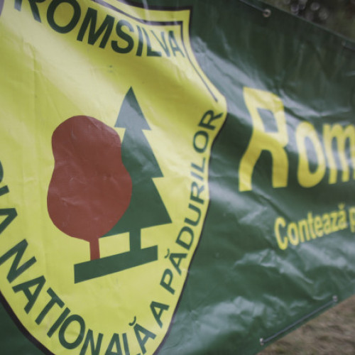 Ministerul Mediului anunță selecția de membri pentru Consiliul Romsilva