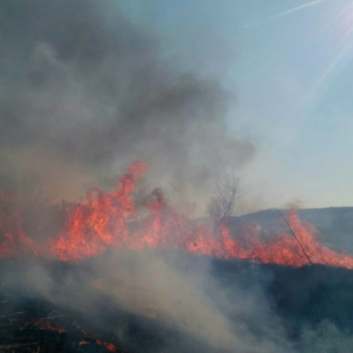 Scădere dramatică a incendiilor de vegetație în Mureş - cu 70%