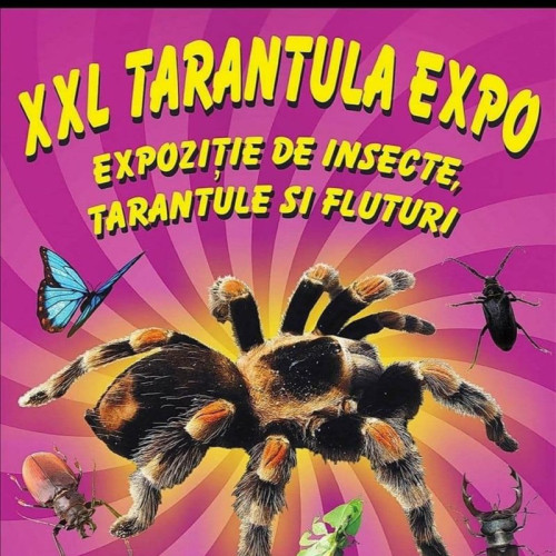 Expoziția Tarantule XXL la Centrul Cultural Reduta