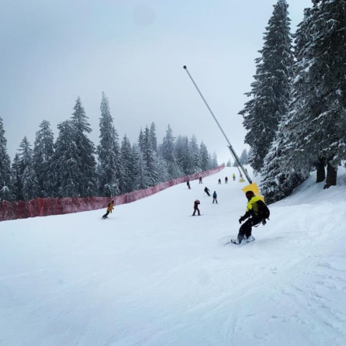 Excelentă Zăpada la Schi în Poiana Brașov: Pârtii în Perfectă Stare!