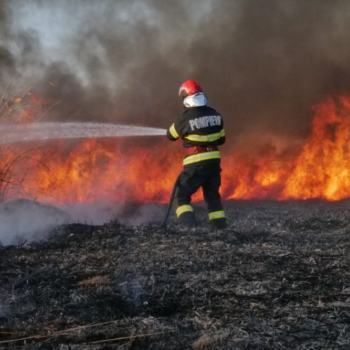 Crește numărul incendiilor de vegetație uscată în județele Mureș și Harghita