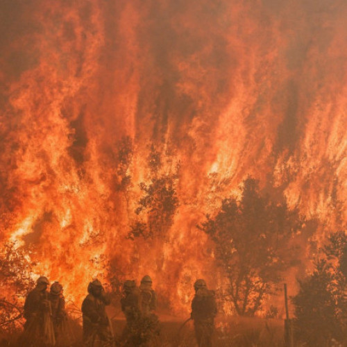 Video Român mort în incendiul de vegetație din apropierea Madridului. Ferma de cai la care lucra a fost mistuită de flăcări