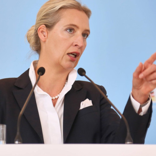 Extrema dreaptă urcă pe primul loc în preferințele germanilor. AfD, înaintea cancelarului Merz (sondaj)