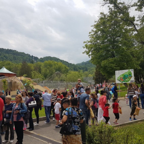 Zoo Brașov își deschide porțile pentru programul de vară, cu o nouă surpriză pentru vizitatori