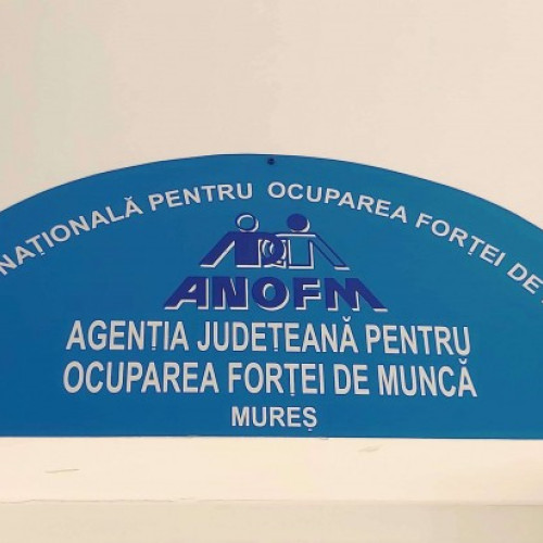 Tinerii absolvenți din Mureș care s-au angajat au primit stimulente financiare de peste 350 persoane în anul trecut