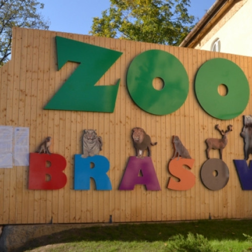 Ziua Mondială a Faunei Sălbatice sărbătorită în mod special la Zoo Brașov