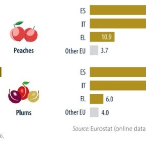 România, lider european în producția de prune și fructe proaspete.