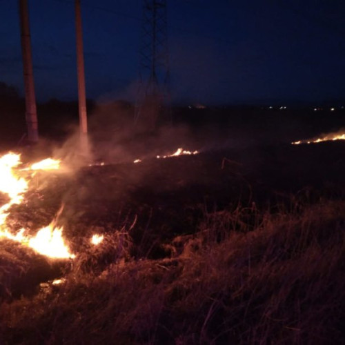 As: "Peste 200 de Ha de teren afectate de incendii de vegetaţie în Harghita