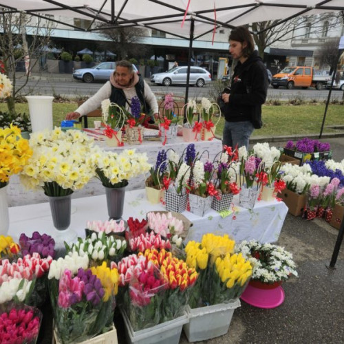 Florile de 8 martie, cele mai căutate în România! Topul orașelor cu cele mai multe comenzi online și cele mai populare mâncăruri de Ziua Femeii