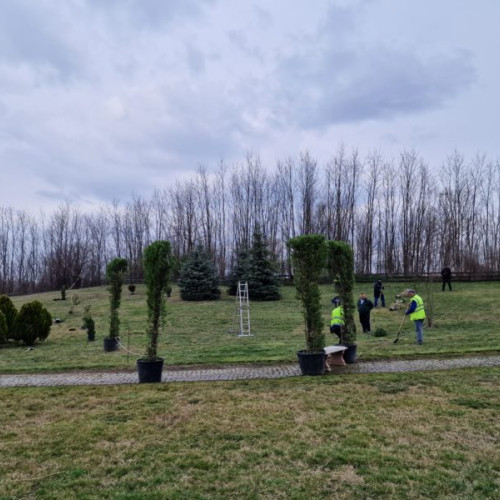 Începe plantarea celui mai frumos parc rural din România prin parteneriat cu Asociaţia Iplant.Today