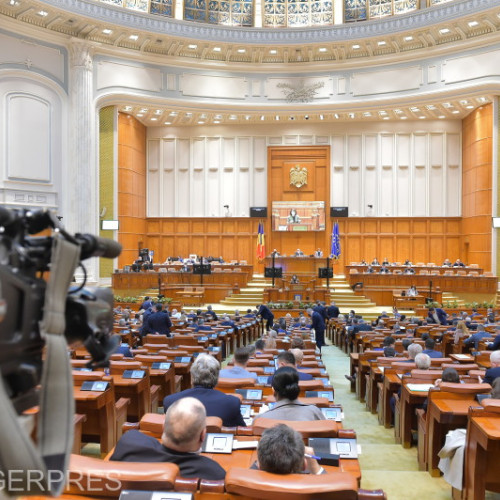 Adoptare a Proiectului de Lege privind Exploatarea Masei Lemnoase Degradate în Camera Deputaților