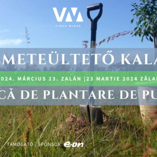 Zălan, Covasna: 10.000 de puieţi de foioase plantate în această săptămână cu ajutorul voluntarilor