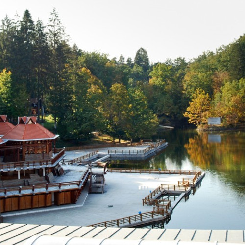 Algele Din Lacul Ursu Din Sovata, Cercetate pentru a Fi Mâncarea Viitorului