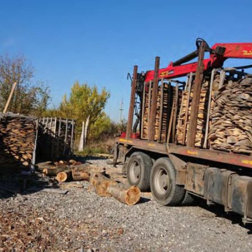 Jandarmii din Mureș, 70 de misiuni în "Scutul Pădurii": sancționate 72 de persoane pentru transport ilegal de material lemnos