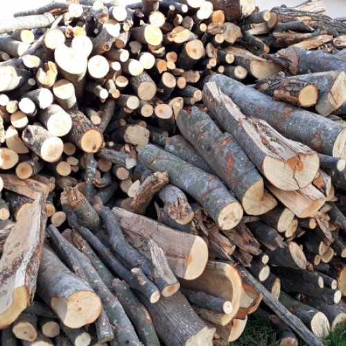 Confiscare la Reghin a unei semiremorci transportând ilegal material lemnos în valoare de 15.000€