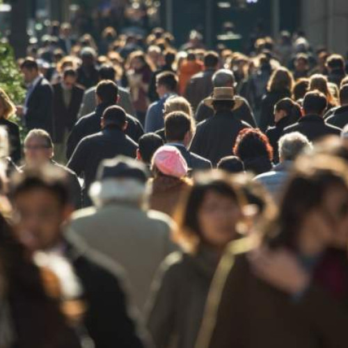 Programul de ucenicie: Peste 16.000 de angajări, cu sprijinul ANOFM!