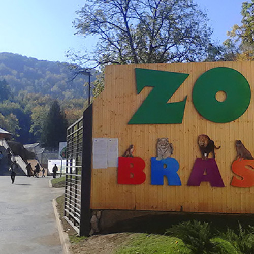 Grădina Zoologică Brașov organizează &quot;Ziua Internațională a Râsului&quot;