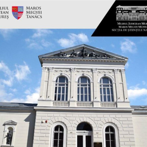 Sesiunea de comunicări științifice &quot;Preocupări recente în cercetarea, conservarea și valorificarea patrimoniului cultural&quot; a ajuns la a 18-a ediție