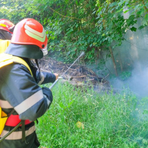 Creșterea temperaturilor crește riscul de incendii de vegetație