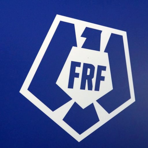 Federația Română de Fotbal anunță procedura de achiziție a biletelor pentru meciul România - Olanda